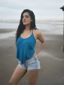 Working Girl ajmer call girl